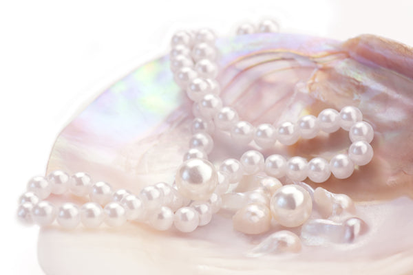 How Much Are Fresh Pearls Worth?